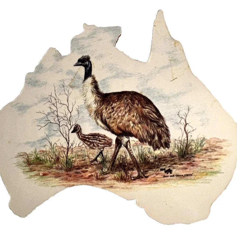 Set of 6 Wildlife Creations Cork Back Coasters Australia Animals - In Map Shape